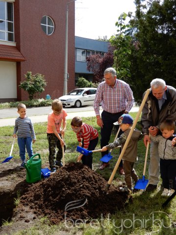 Életfát ültettünk 13